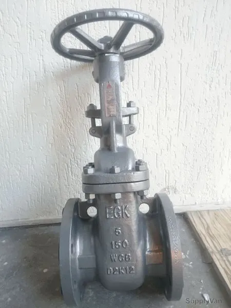 Kistenmacher Gate Valve, EGK-GV-A6-T1-DN65, 2.5 Inch, CS