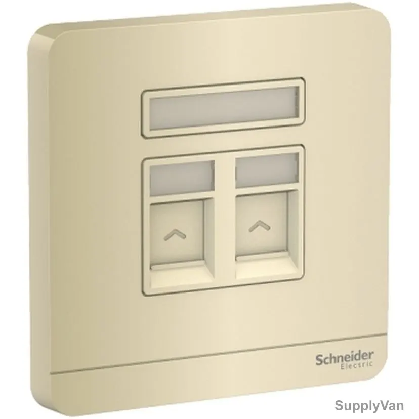Schneider Electric Electrical Wall Plate, E8332RJS-WG, AvatarOn, 2 Gang, 1.5A, Wine Gold
