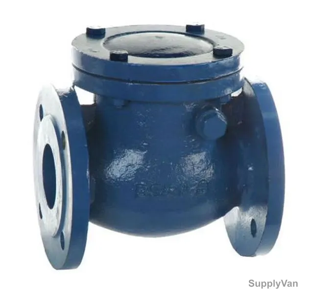 Herz Check Valve, 4262221, Cast Iron, 65MM