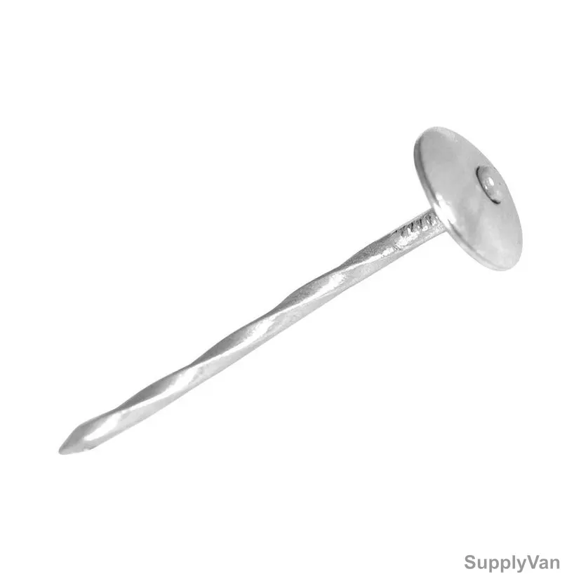 Roofing Nail, Iron, 2 Inch, Silver, PK50
