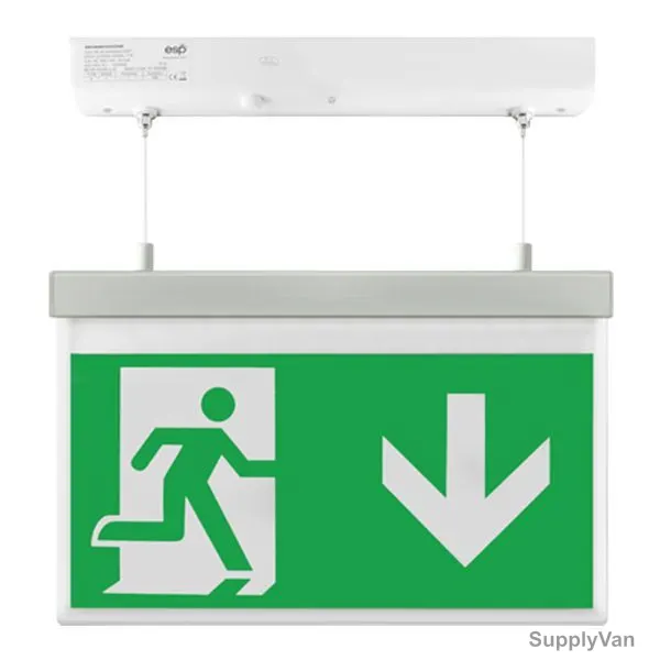 ESP Hanging Emergency Exit Sign Board With Light, Duceri, LED, 2W, 5500K, Cool White, Down Legend