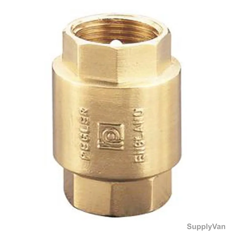 Pegler Spring Check Valve, 124123, Brass, 10 Bar, 1 Inch