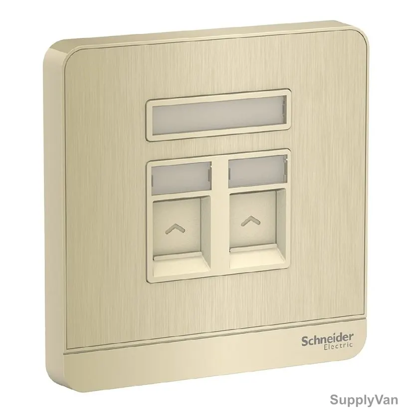 Schneider Electric Electrical Wall Plate for RJ45 Keystone, E8332RJS-GH, AvatarOn, 2 Gang, Metal Gold Hairline