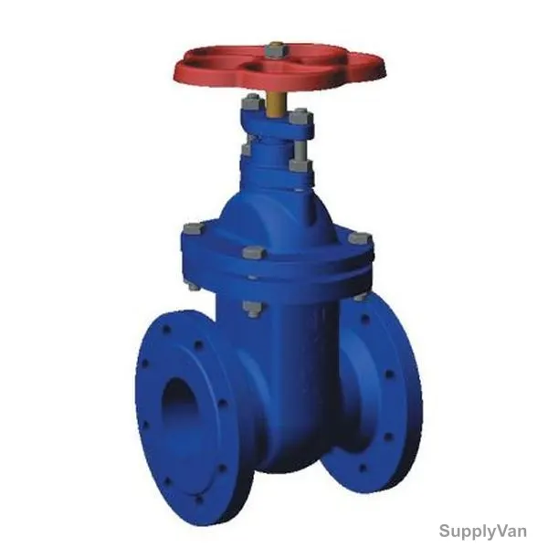 Herz Gate Valve, 4411321, Cast Iron, 65MM