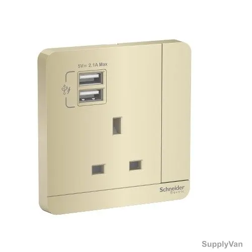 Schneider Electric Switched Socket With 2 USB Port, E8315USB-WG-G12, AvatarOn, 3P, 13A, 220V, Wine Gold