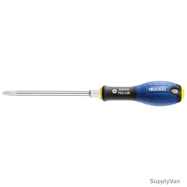 Expert Philips Screwdriver, E160301, PH2x125MM