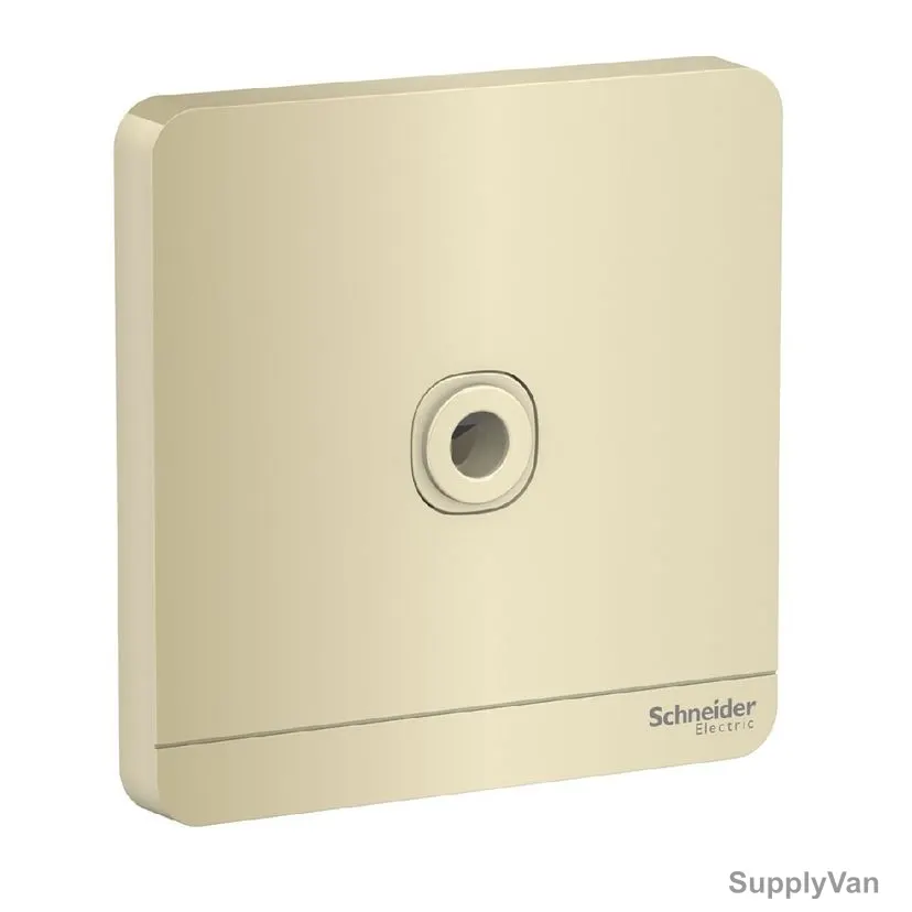 Schneider Electric Fused Connection Unit, AvatarOn, 25A, 250VAC, Wine Gold