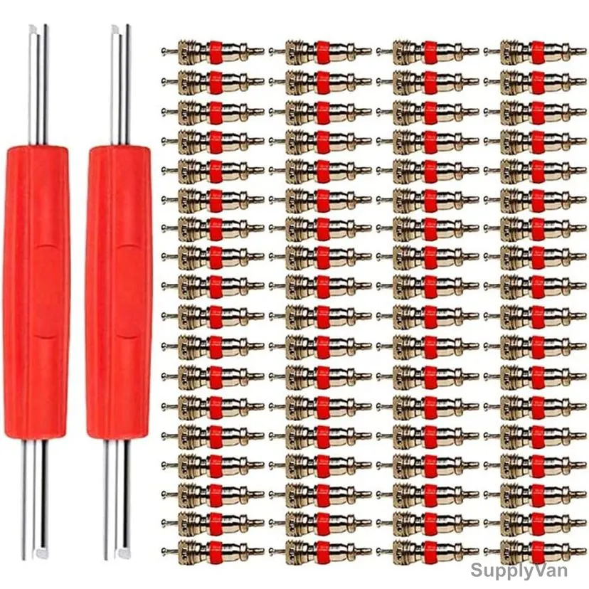 Valve Core Removal Tool Kit With 100Pcs Replacement Schrader Valve, Nickel Plated, Red, 102 Pcs/Kit