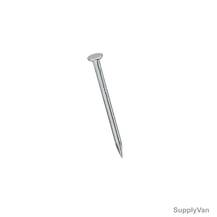 Wire Nail, Iron, 1 Inch x 20MM, Silver, PK50