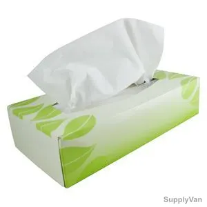Facial Tissue Pack, 48Boxes x 100Pcs