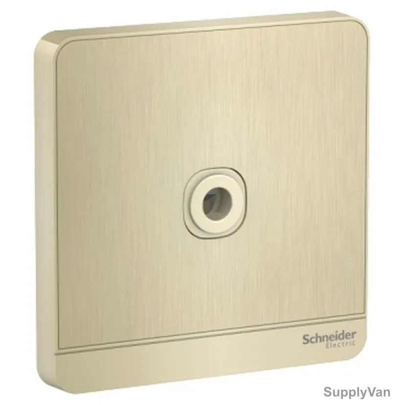 Schneider Electric Fused Connection Unit, E8331TB-GH, AvatarOn, 25A, 250VAC, Metal Gold Hairline