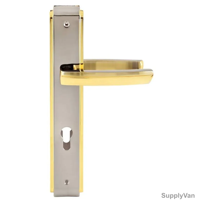 ACS Door Handle, H707-193-BN-GP, Zinc, Black and Gold