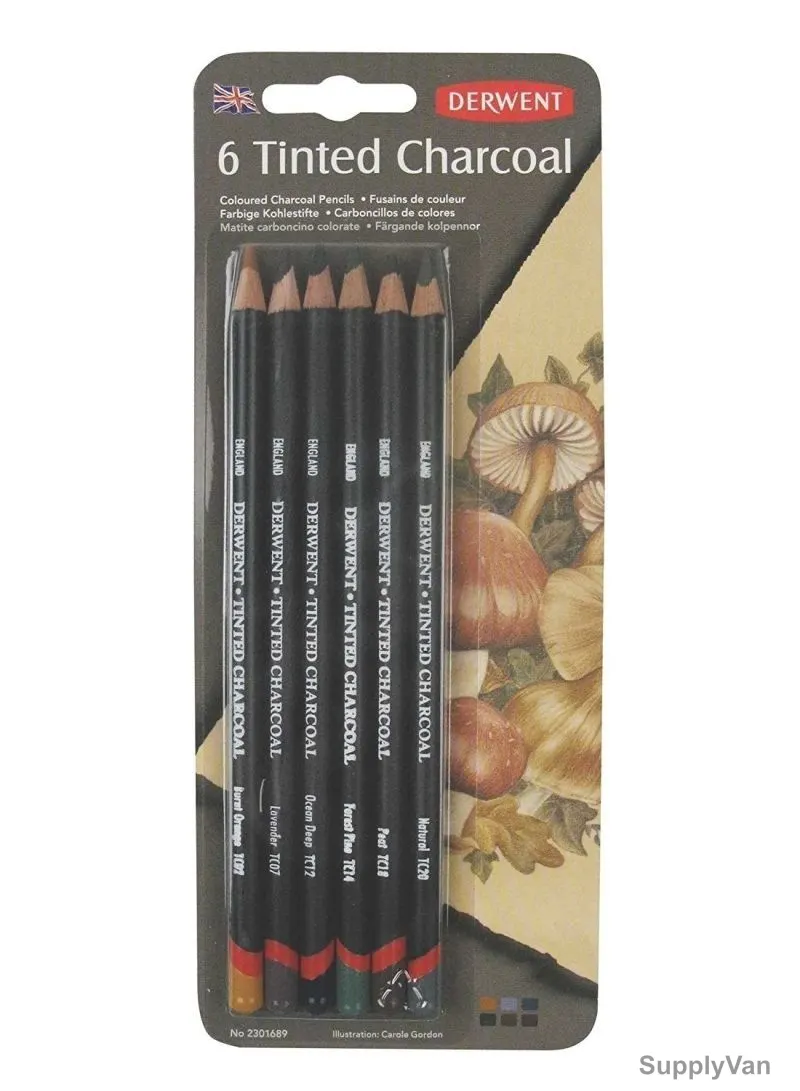 Derwent Tinted Charcoal Pencil, RXL2301689, 100 Percentage Lightfast, Multicolor