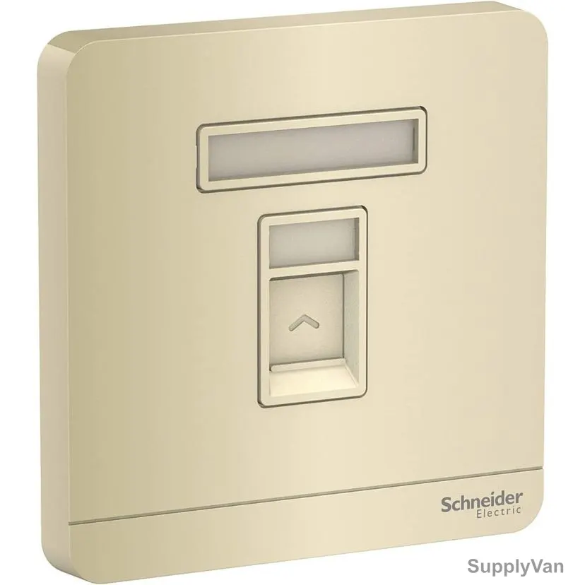 Schneider Electric Electrical Wall Plate, E8331RJS-WG, AvatarOn, 1 Gang, Wine Gold