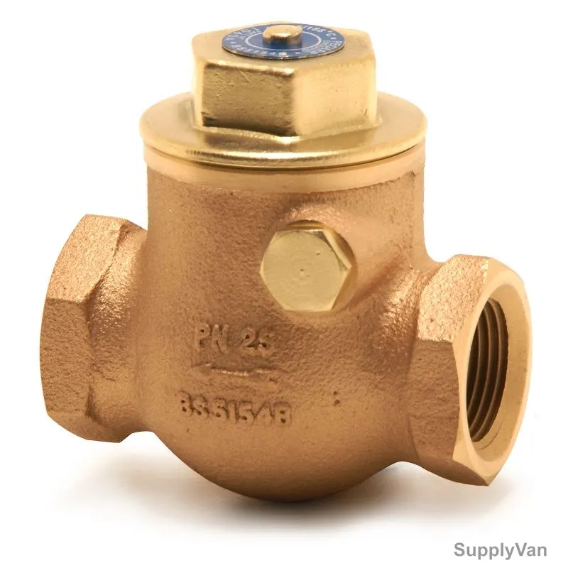 Pegler Swing Check Valve, PEG122012, Brass, 2 Inch