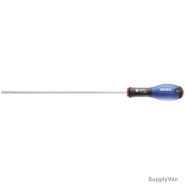 Expert Screwdriver, E165006, 2.5x50MM