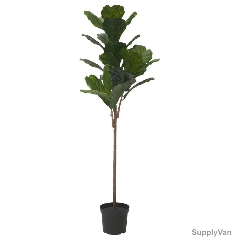 Artificial Potted Plant, Plastic, 145CM Height, 19CM Pot Dia