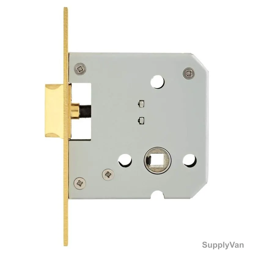 ACS Latch Door Lock Body, 55L-LCKBDY-SB, Stainless Steel, Gold