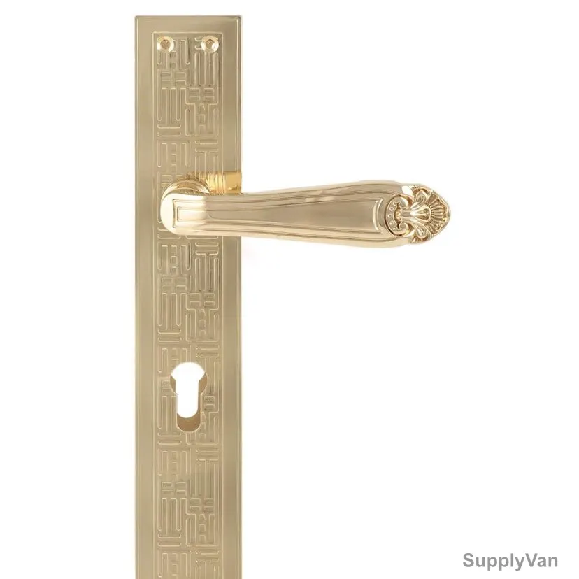 ACS Door Handle, CC43-DD199-GP, Zinc, Gold