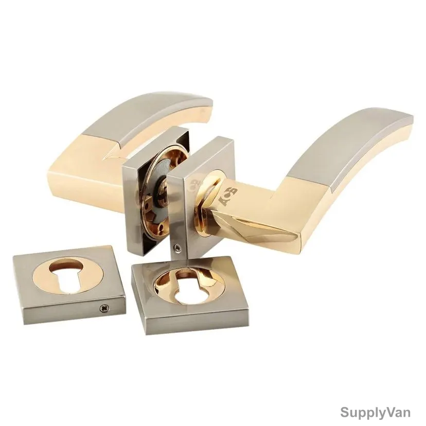ACS Rose Door Handle With Key Hole, R01-AA95-SN-GP, Zinc, Silver and Gold