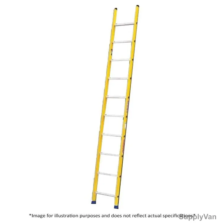 Workman Straight Ladder, 12 Steps
