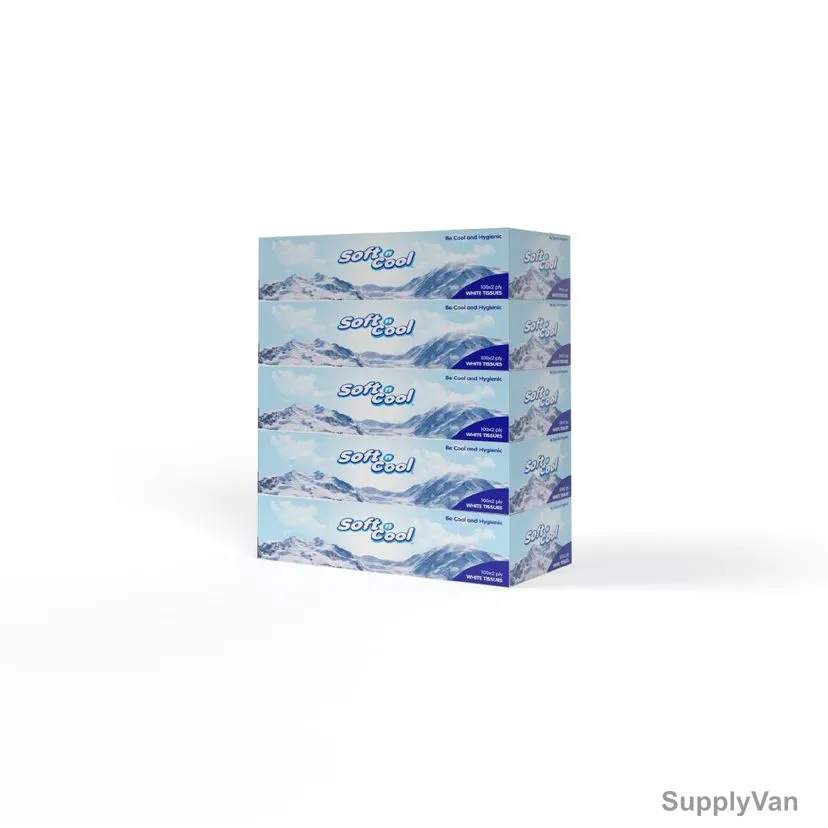 Soft n Cool Facial Tissue, SNCT100, 2 Ply, White, 500 Sheets/Pack — image 1