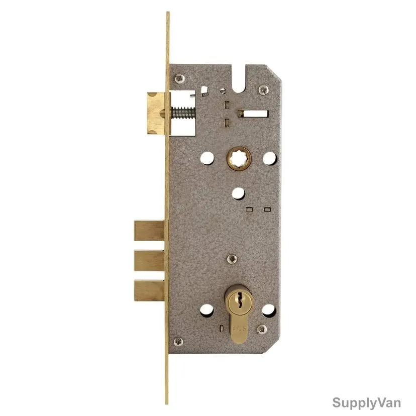 ACS 3 Cylinder Door Bolt W/ Lock Body, AS-2010B-G, Brass, Silver