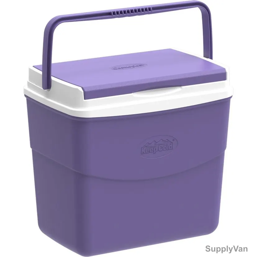 Cosmoplast Keep Cold Picnic Icebox, MFIBXX080, Plastic, 10 Ltrs Capacity, Purple