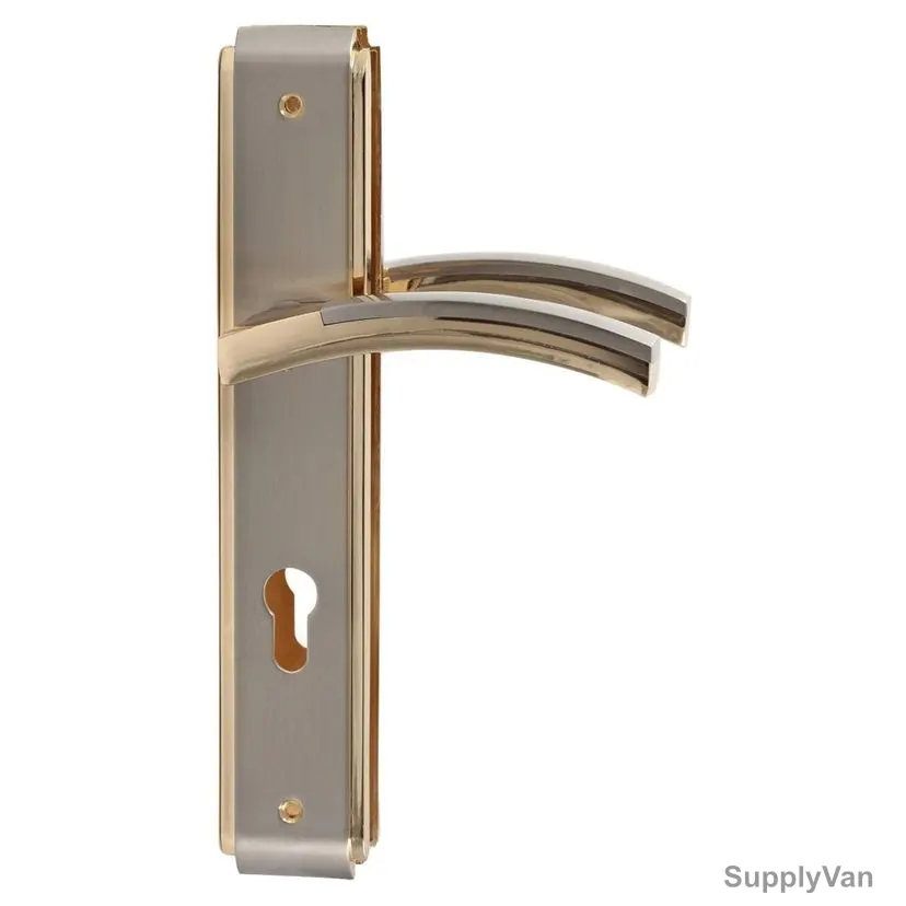 ACS Door Handle, AA99-AA95-SN-GP, Zinc, Silver and Gold