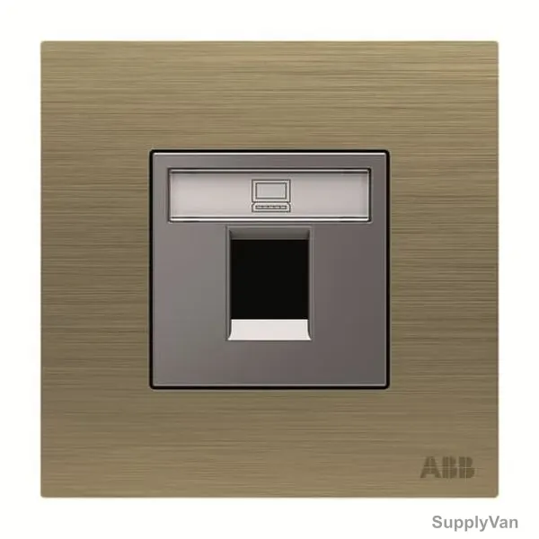 ABB Wall Plate, AM33544-AG, Millenium, 1 Gang, RJ45