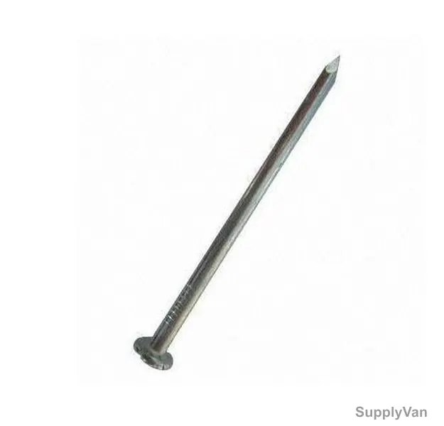 Common Wire Nail, 10PCS