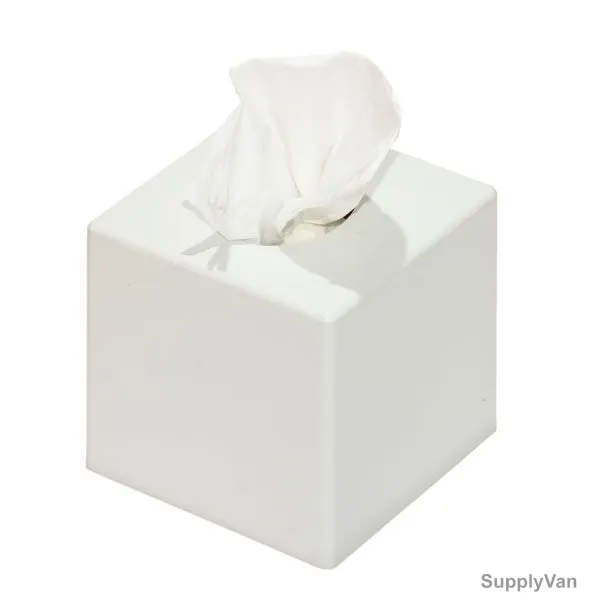 Facial Tissue Cube Pack, 48Boxes x 100Pcs
