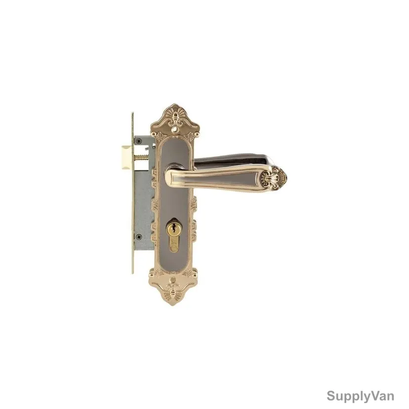ACS Small Plate With Lock Body, BB31-DD199-BN-GP, Zinc, Black and Gold
