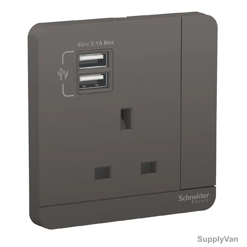 Schneider Electric Switched Socket With 2 USB Port, AvatarOn, 3P, 13A, 220V, Dark Grey